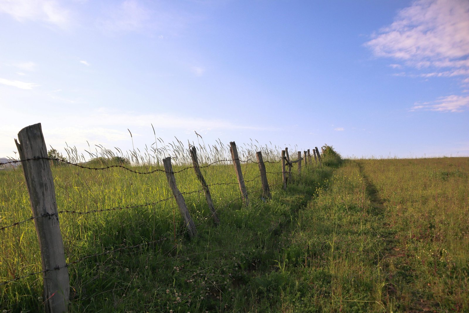 service-1 A peaceful rural scene featuring a wooden fence and lush grass under a clear blue sky.