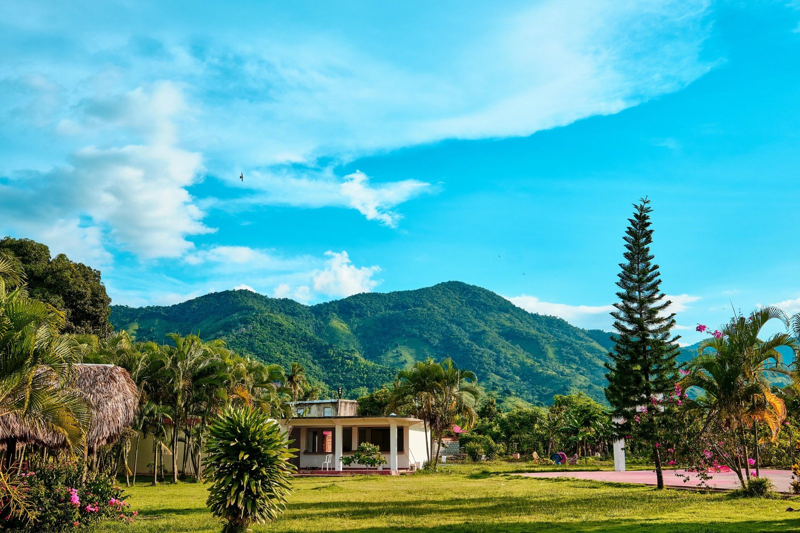 service-1 Beautiful rural setting in Villa Altagracia with lush greenery and mountainous backdrop.